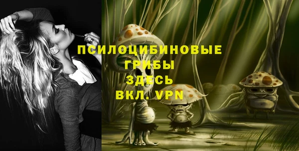 амфетамин Алексеевка