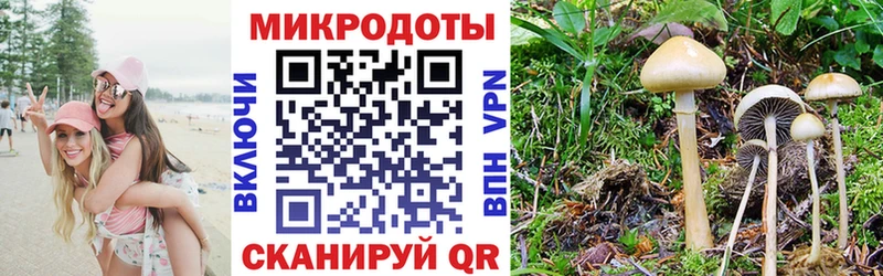 Купить где Курск Галлюциногенные грибы мухоморы